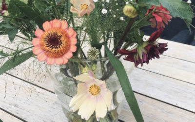 Comment conserver ses fleurs en vase ?