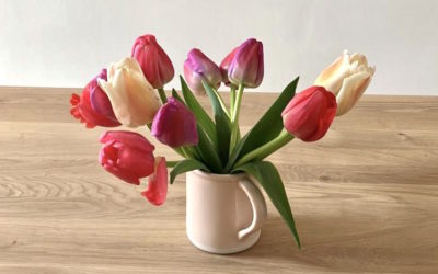 Conserver ses tulipes