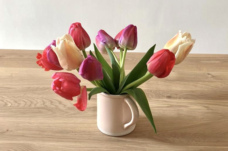 Conserver ses tulipes