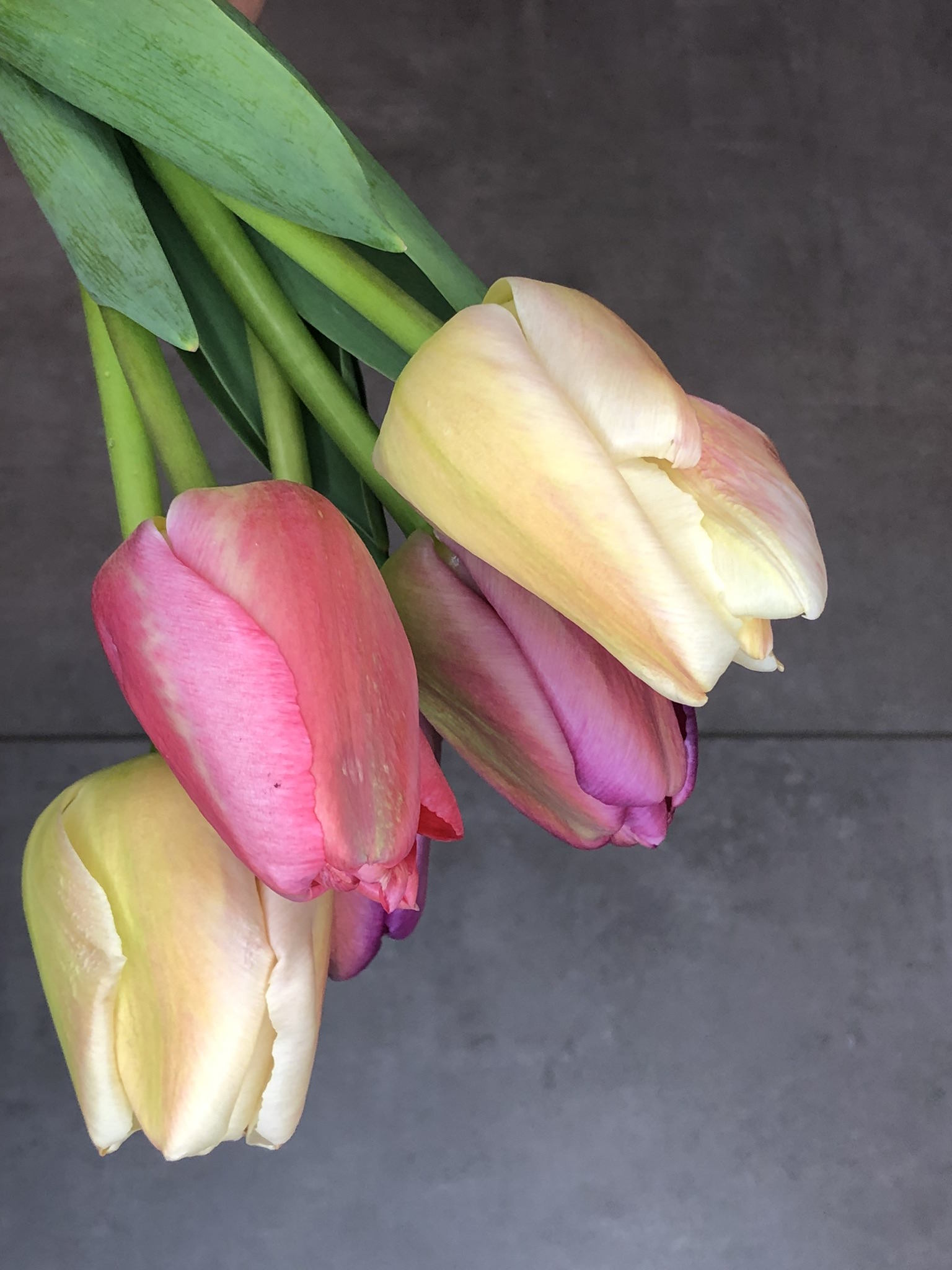 Botte de tulipes – Image 3