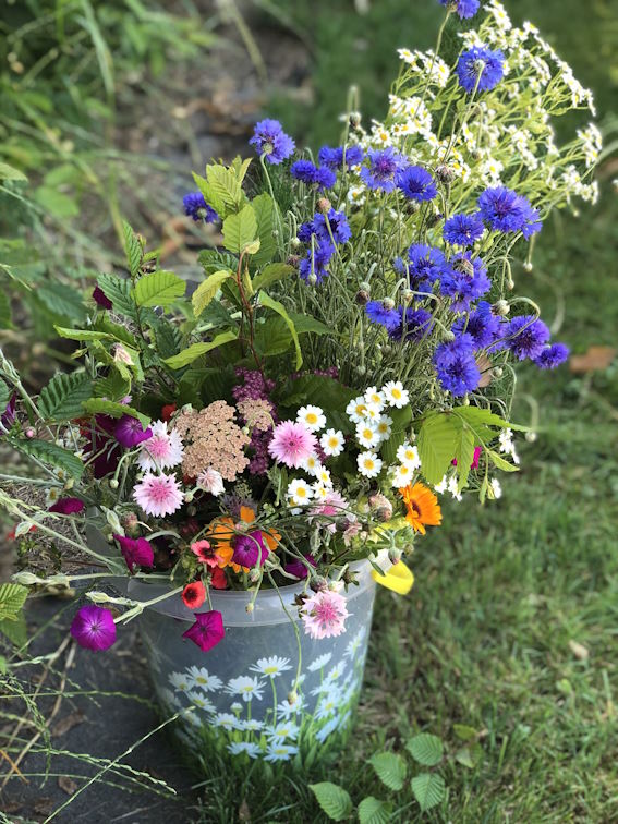 Le seau de fleurs en vrac – Image 5