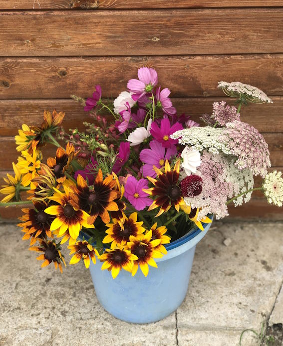 Le seau de fleurs en vrac – Image 2