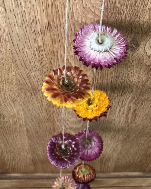 Guirlande de fleurs séchées
